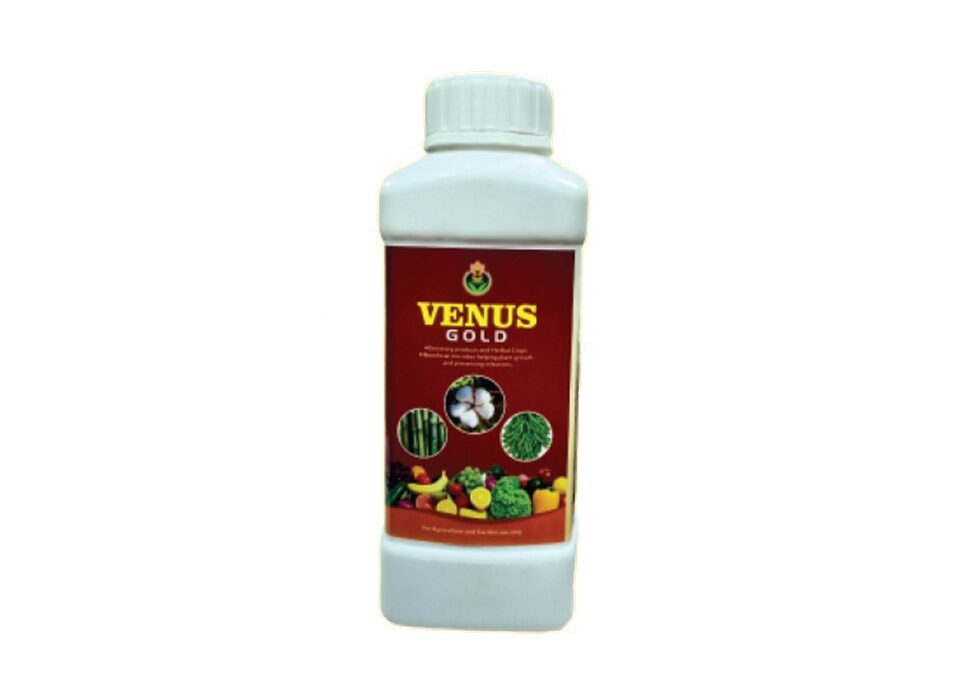 Venus Gold